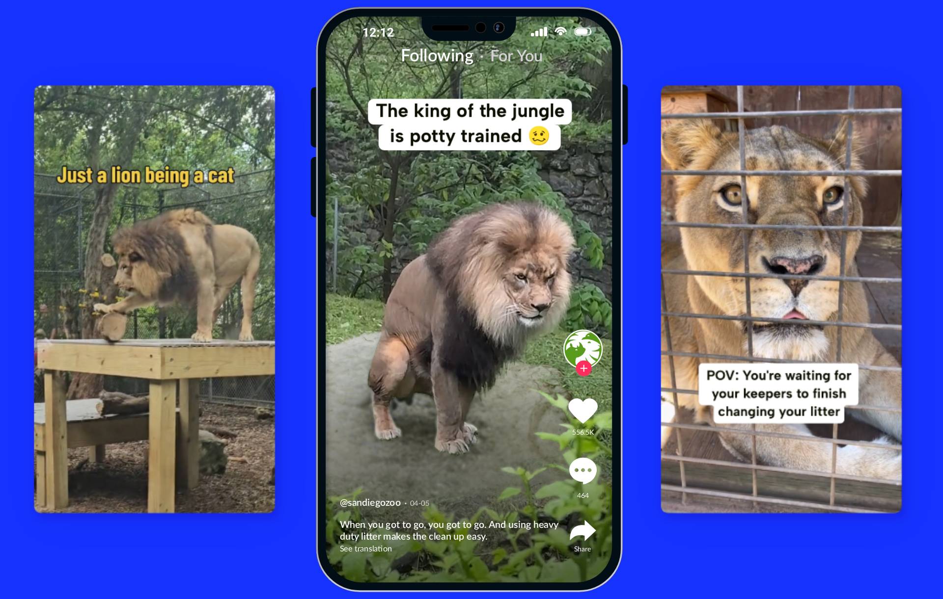 Screenshots of three tiktoks. Each showing lions behaving like cats and using litter